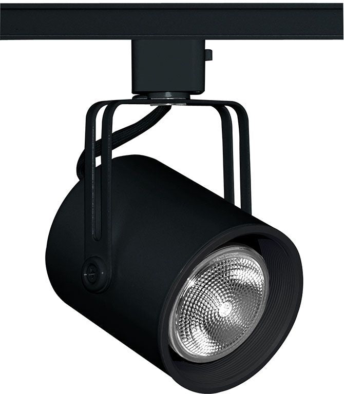 Juno Lighting T423B-SC Track Light Fixture