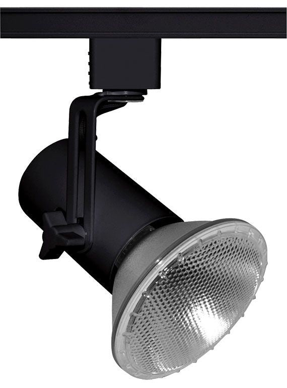 Juno Lighting T691BL Track Light Fixture