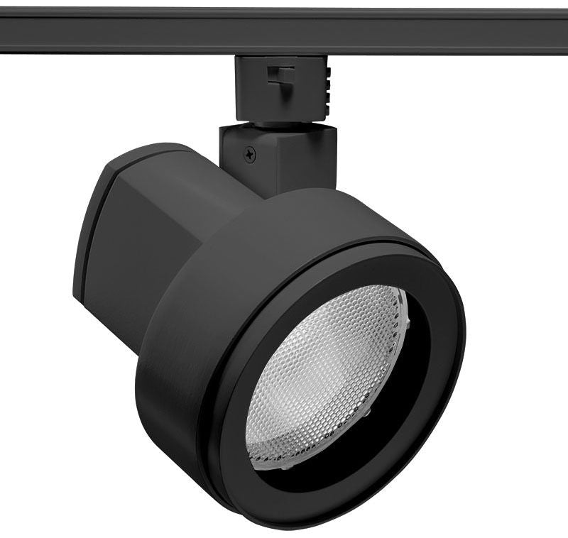 Juno Lighting T845BL Track Light Fixture