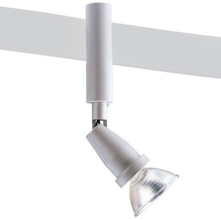 Juno Lighting TF301SL Track Light Fixture