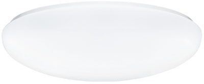 Lithonia Lighting FMLR-54-M4 Flush Mount Light Fixture