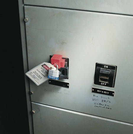 Alternate Image 1