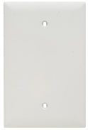 Pass & Seymour TPJ13W Wallplate