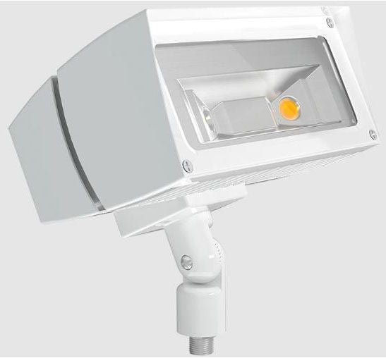 RAB Lighting FFLED39W LED Floodlight Fixture