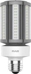 RAB Lighting HID-36-E26-850-BYP-PT HID LED Lamp