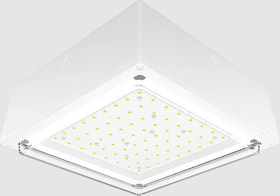 RAB Lighting VANLED20W LED Vandalproof Canopy Light Fixture