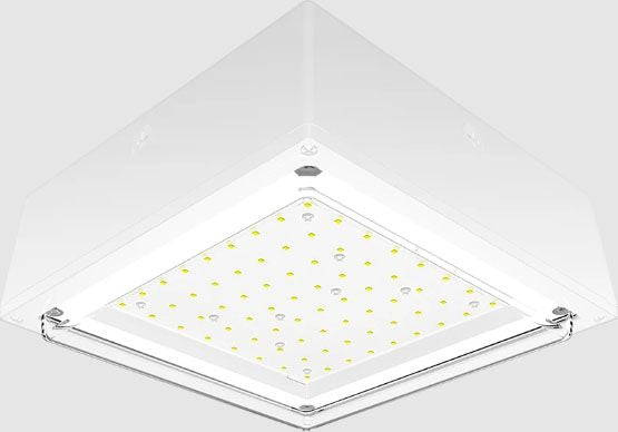 RAB Lighting VANLED20W LED Vandalproof Canopy Light Fixture