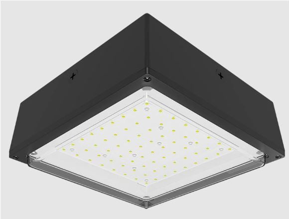 RAB Lighting VANLED52 LED Canopy Light