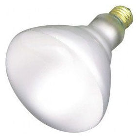 Satco Products S2853 Incandescent Lamp