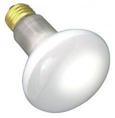 Satco Products S3229 Incandescent Lamp