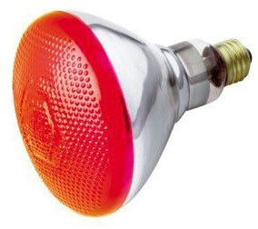 Satco Products S4424 Incandescent Lamp