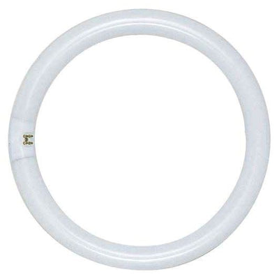 Satco Products S6503 Circline Fluorescent Lamp