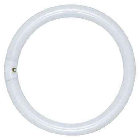 Satco Products S6500 Circline Fluorescent Lamp