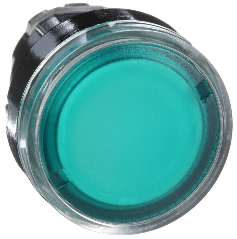 Schneider Electric ZB4BW333 Illuminated Momentary Pushbutton Head